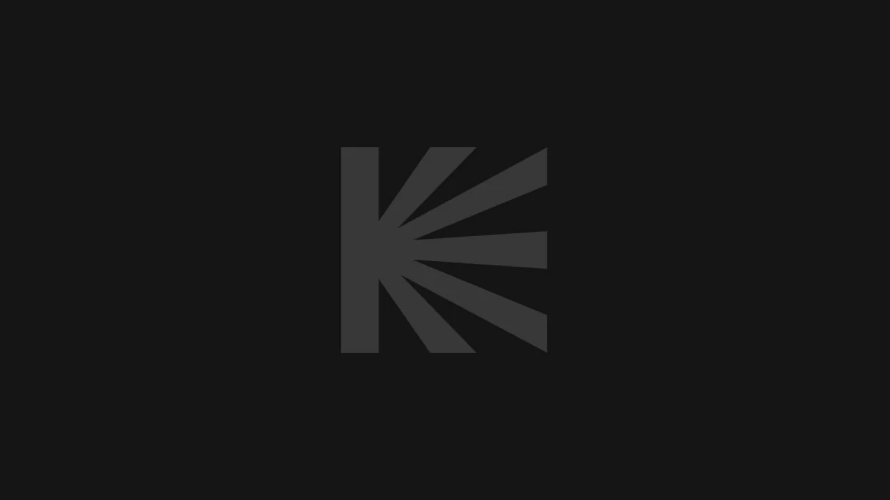 Фильм Кукла. Реинкарнация (2025)